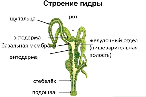 Kraken 13 at