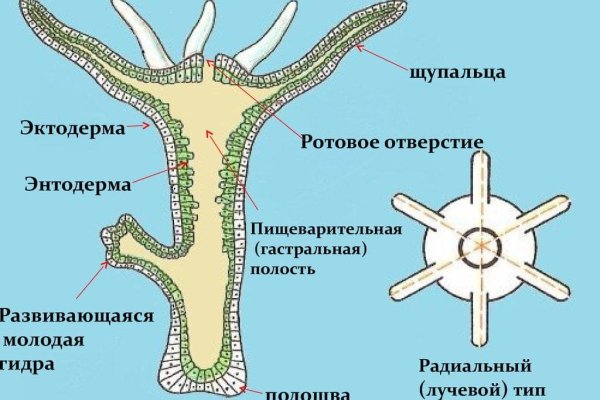 Kra34.at Вход на сайт главная страница