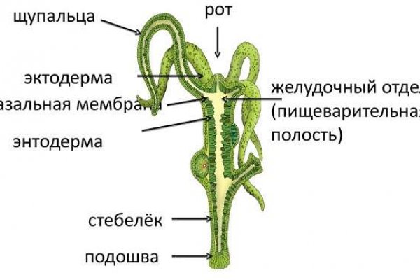 Ссылка адрес на кракен