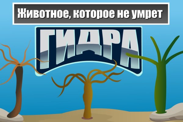 Кракен онион даркнет площадка