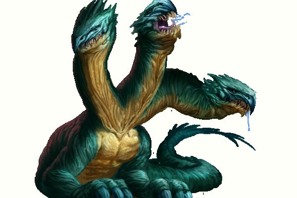 Kraken 17 at