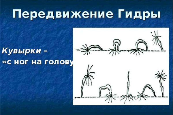 Ссылка кракен сегодня