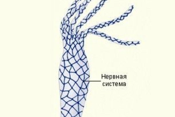 Как зайти на кракен через тор браузер