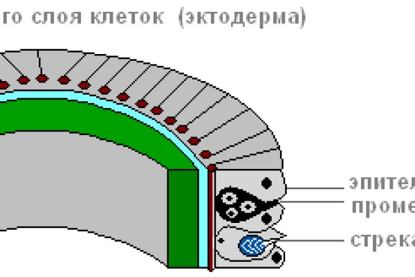 Кракен верное зеркало