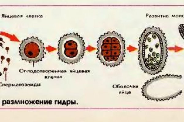 Ссылка на даркнет в тор