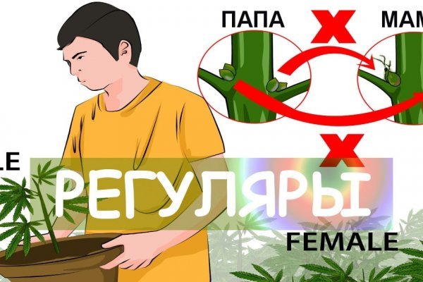 Как перейти на кракен