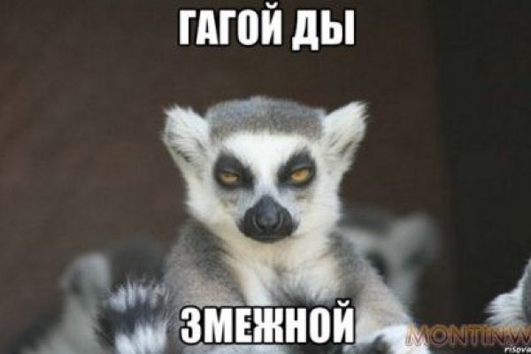 Kraken darknet ссылка тор