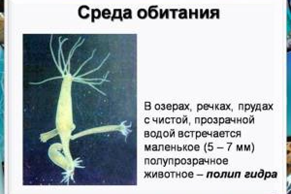 Кракен ссылка работает