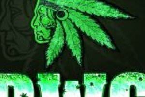 Kraken 11at