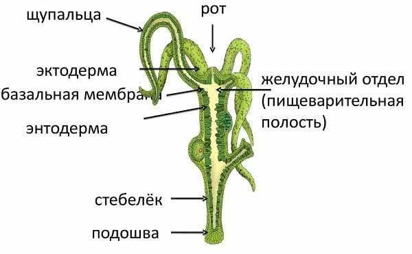 Дарк маркетплейс кракен